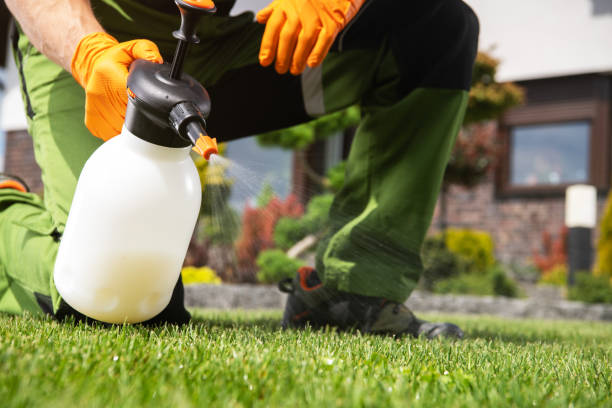Best Emergency Pest Control  in Arcola, IL
