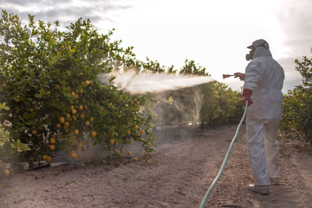 Best Pest Inspection Near Me  in Arcola, IL