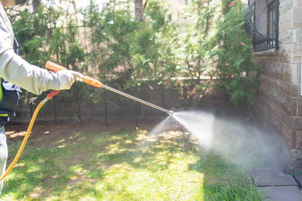 Best Bird Control  in Arcola, IL
