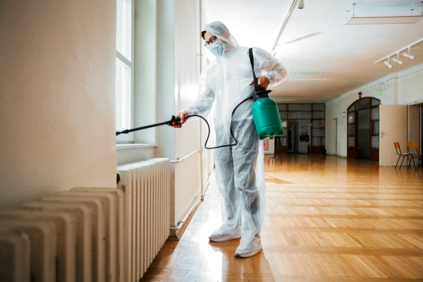 Flea Control Services in Arcola, IL