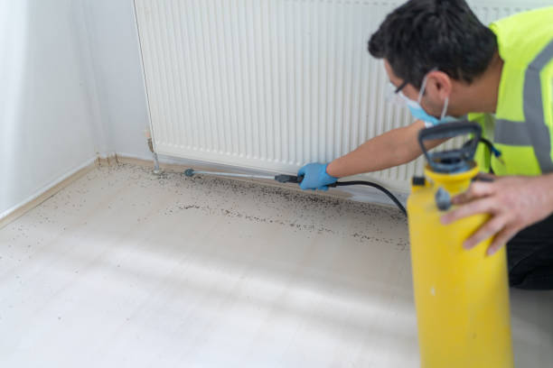 Best Affordable Exterminators  in Arcola, IL