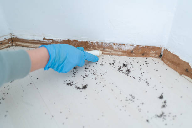 Best Exterminator Services  in Arcola, IL